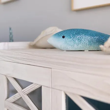 Arcadia Villaverde (Fuerteventura)